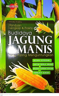 Budidaya Jagung Manis Yang Paling Menguntungkan Secara Otodidak Untuk Semua Orang Mudah Di Praktekkan Terbukti Sukses