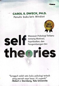 Self Theories