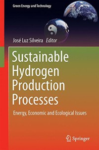 Sustainable Hydrogen Production Processes : Energy, Economic and Ecological Issues