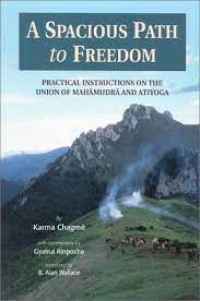 A Spacious Path to Freedom : Practical Instructions on the Union of Mahamudra and Atiyoga