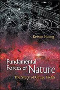 Fundamental Forces Of Nature : the story of gauge fields