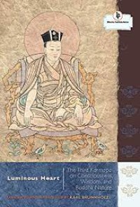 Luminous Heart : The Third Karmapa on Consciousness, Wisdom, and Buddha Nature (The Nitartha Institute)