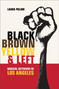 Black, Brown, Yellow, and Left : Radical Activism in Los Angeles