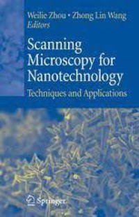 Scanning Microscopy for Nanotechnology : Techniques and Applications