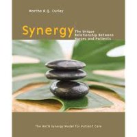 Synergy The Unique Relationship Between Nurses and Patients