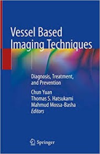 Vessel Based Imaging Techniques